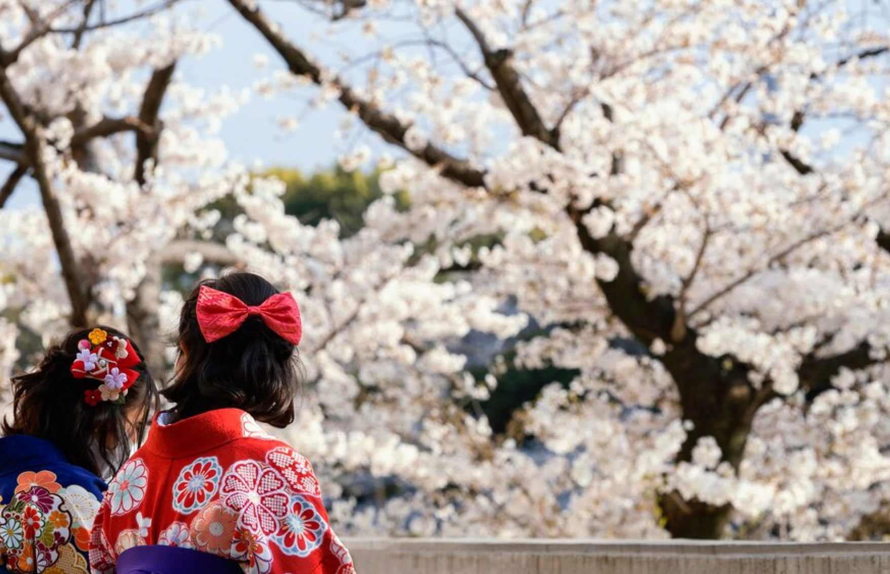 文化的適応の促進